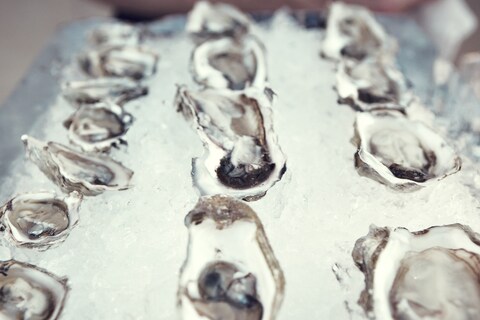 Oysters at the AnOther Magazine and Another Man party at Mil