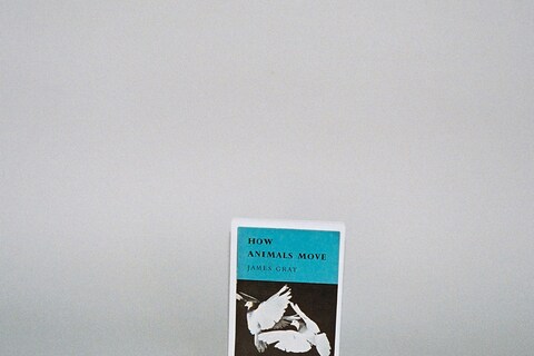 Postcards from Pelican