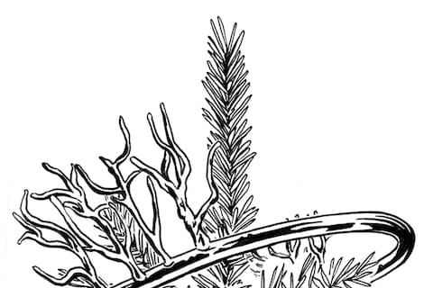 Fantasy Balenciaga decoration