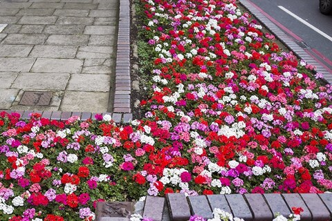 London in Bloom