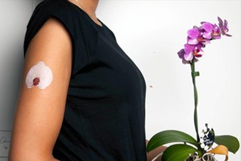 White Orchid Temporary Tattoo by Marc Quinn