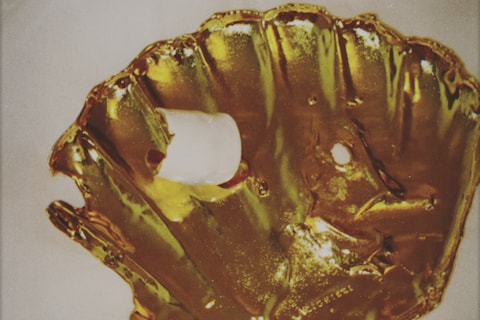 ALIGHIERI and BOTTEGA VENETA