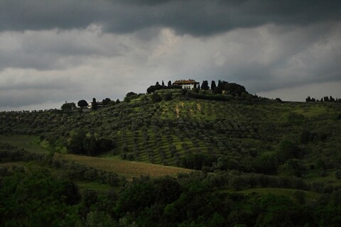 Villa la Ferdinanda, site of Salotti del Gusto