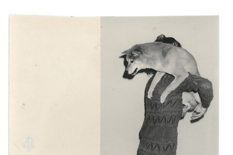 From Dogs by Mark Peckmezian