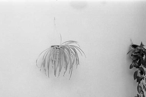 Michael Schmidt, Untitled, 1980
