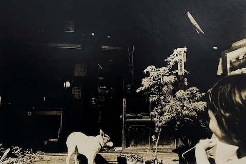 Tamiko Nishimura, Mitaka, Tokyo, 1978, Courtesy of