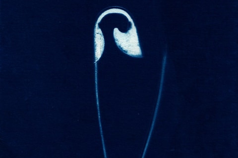 CYANOTYPE_-3