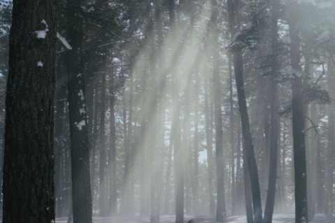The Long Way Home (2013)