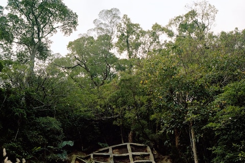 Taiwan, After The Fall