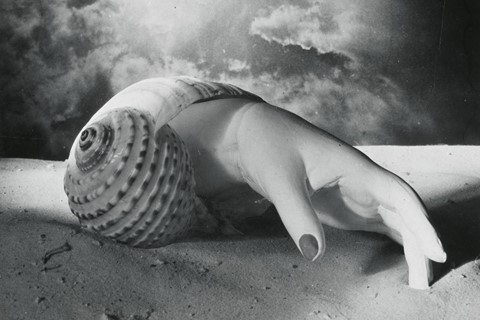 Dora Maar Untitled (Hand Shell)