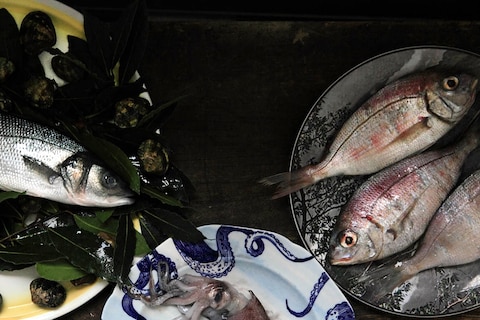 Cornish Sea Bass, Squid, and snapper from FC Soper