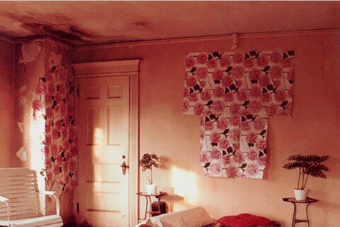 Still from Grey Gardens, 1975