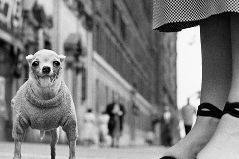New York City, USA, 1946