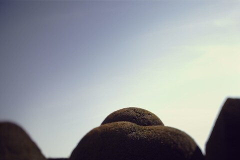 Topiary