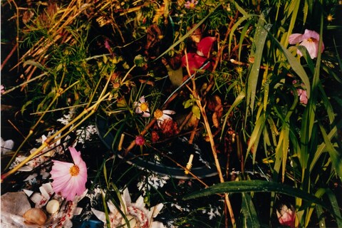 Jamie Hawkesworth A Short Pleasurable Journey Part Two 