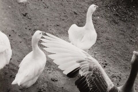 Jamie Hawkesworth A Short Pleasurable Journey Part Two 