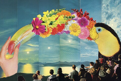 Toucan 2013