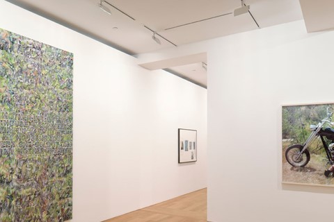 Richard Prince gallery shot