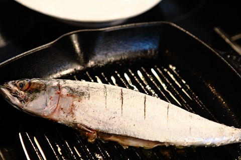 Mackerel in the pan