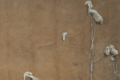 Artwork by Ed Fornieles (right)