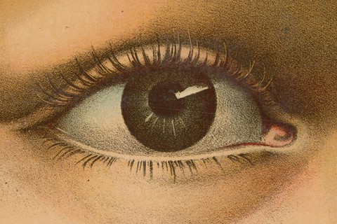 John Derian
