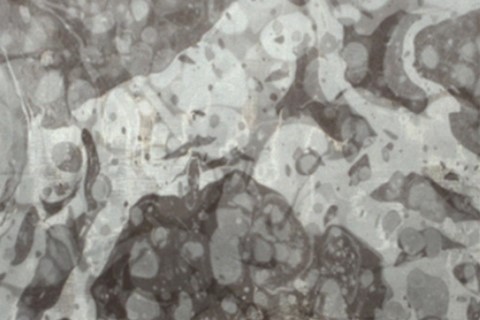 Artwork by Maria Loboda (right)