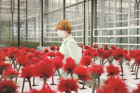 Little Joe Still 4 - Emily Beecham as Alice - A BF