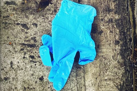 Little Book of Lost Gloves