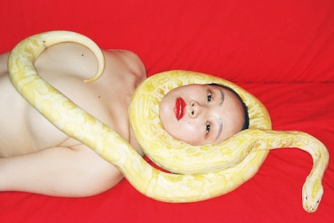 041a_ren_hang_fo_05318_1610131253_id_1083903