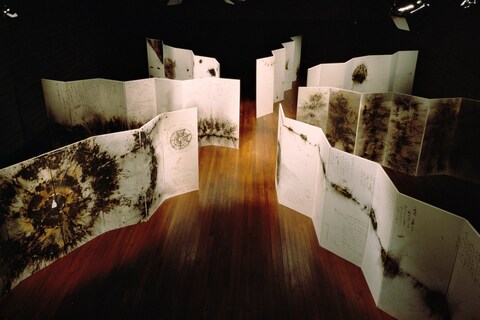 Ramble in the Cosmos by Cai Guo-Qiang