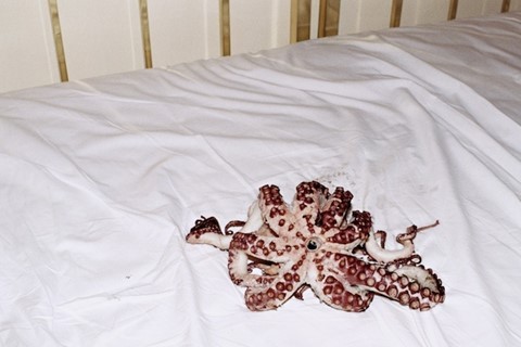 Octopussy