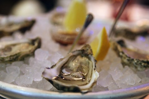 Oysters