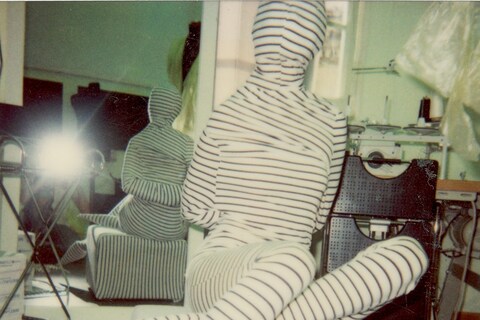 Stripy Gimp, Rome, 2003