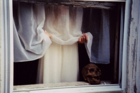 Photography by Alison Scarpulla, March 7 2009