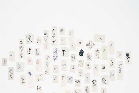 A Diary of Flowers by Jim Hodges, installation view, 1994