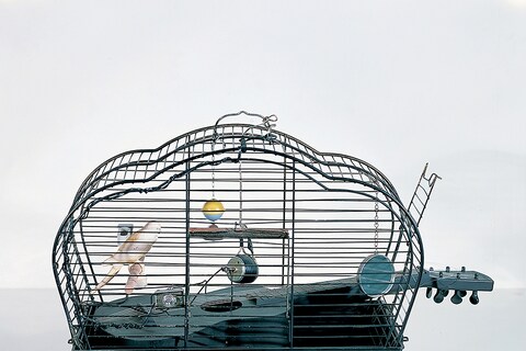 Joe Jones, Bird Cage, 1964