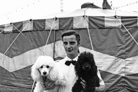 From Circus by Giuliano Plorutti