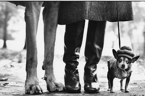 Elliott Erwitt, USA, New York City, 1974