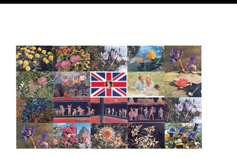 ROYAL, 1980
