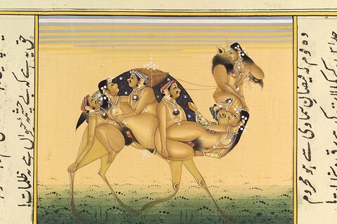 A camel whose body is composed of copulating humans