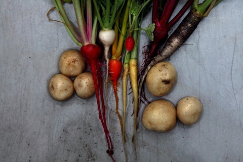 Richard Vine’s kitchen garden at Lucknam Park