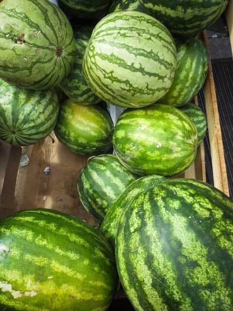 watermelon480640