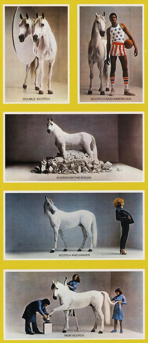 White Horse Distillers, 1979
