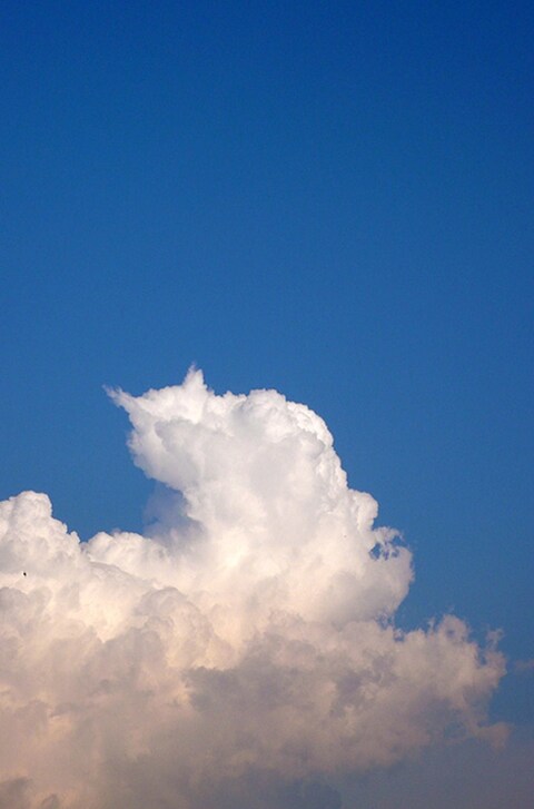 A fat storm Cat over Dommartemont, Lorraine, France