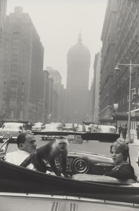 Garry Winogrand, Park Avenue, New York, 1959