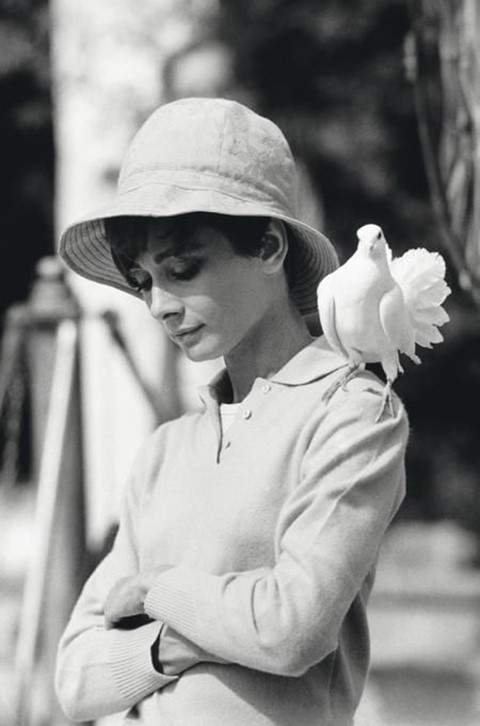 Audrey Hepburn with dove, 1967