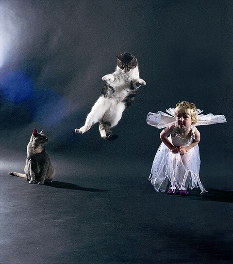Image from Dancing with Cats by Burton Silver
