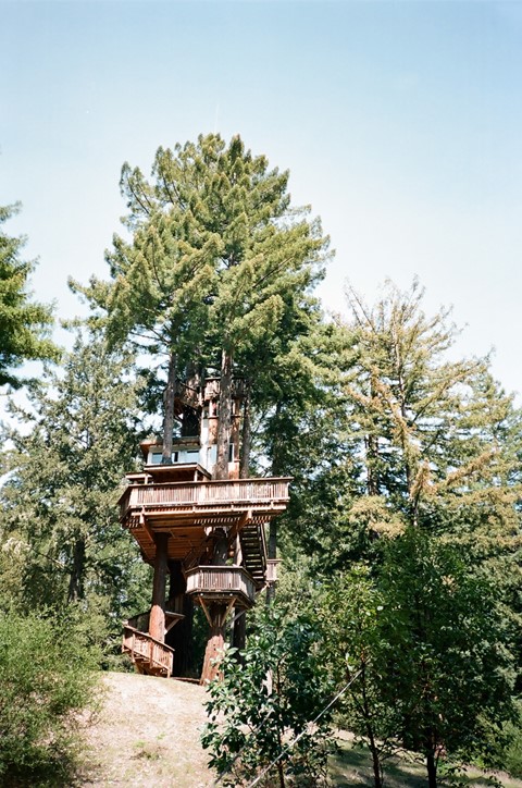 Treehouse in the hills north of Santa Cruz, CA