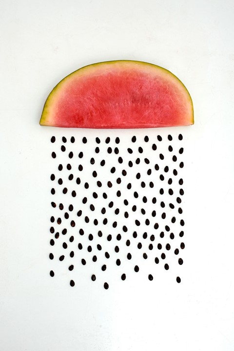Watermelon, from Tutti Frutti, 2011-13