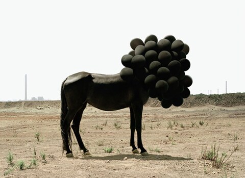 Andrea Galvani, Death of an image #9, 2006
